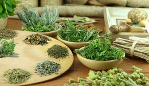 Anti-parasitic herbs for bathing
